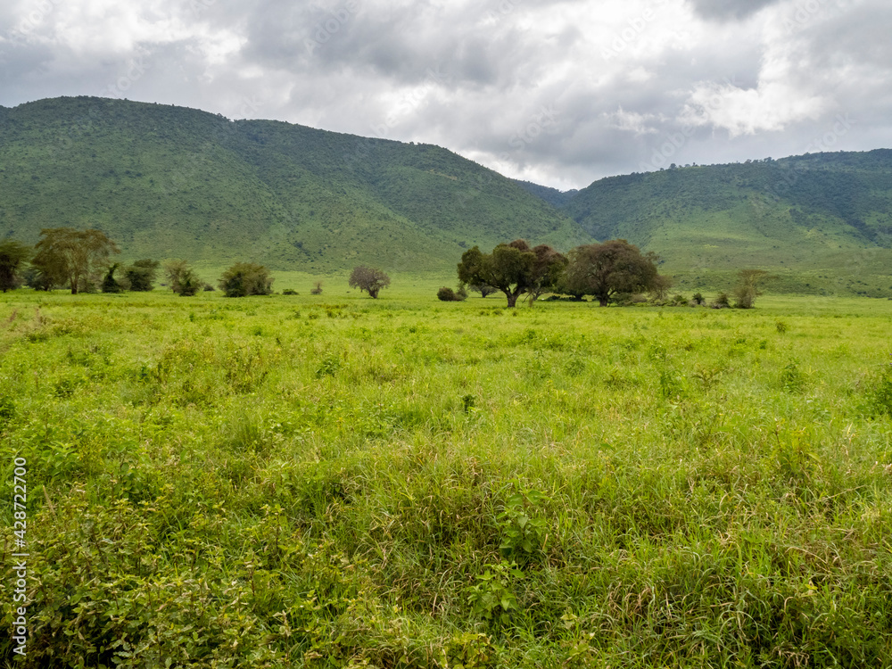 Ngorongoro Crater, Tanzania, Africa - March 1, 2020: Scenic view across ngorongoro crater