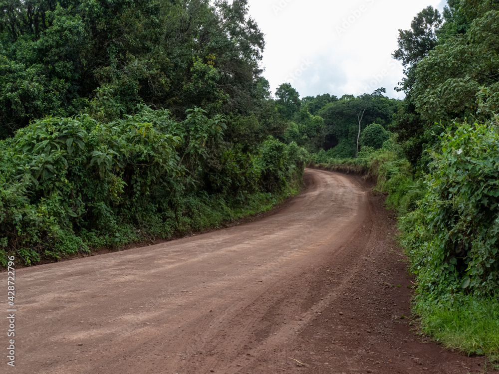 Ngorongoro Crater, Tanzania, Africa - March 1, 2020: Dirt road through Ngorongoro Crater