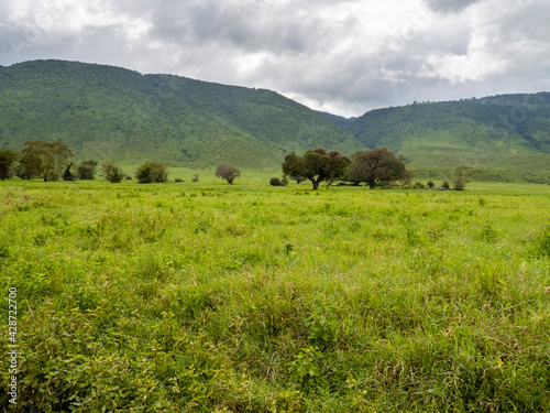 Ngorongoro Crater, Tanzania, Africa - March 1, 2020: Scenic view across ngorongoro crater
