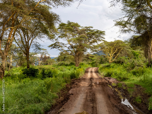 Ngorongoro Crater, Tanzania, Africa - March 1, 2020: Dirt road through Ngorongoro Crater