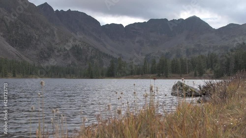 Autumn mountain lake with ripples on surface. Waves and dry yellow grass move in wind. On horizon, mountain range with forest line
