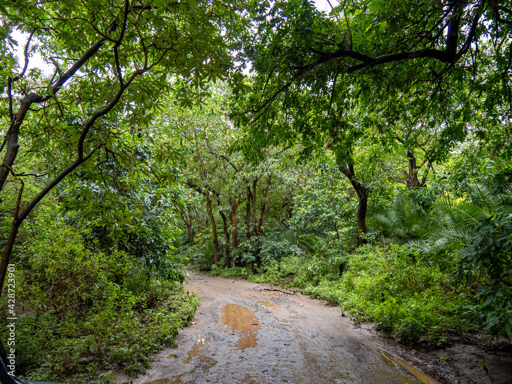 Lake Manyara, Tanzania, Africa - March 2, 2020: Road through Lake Maynara Lake Manyara, Tanzania, Africa - March 2, 2020: Road through Lake Maynara