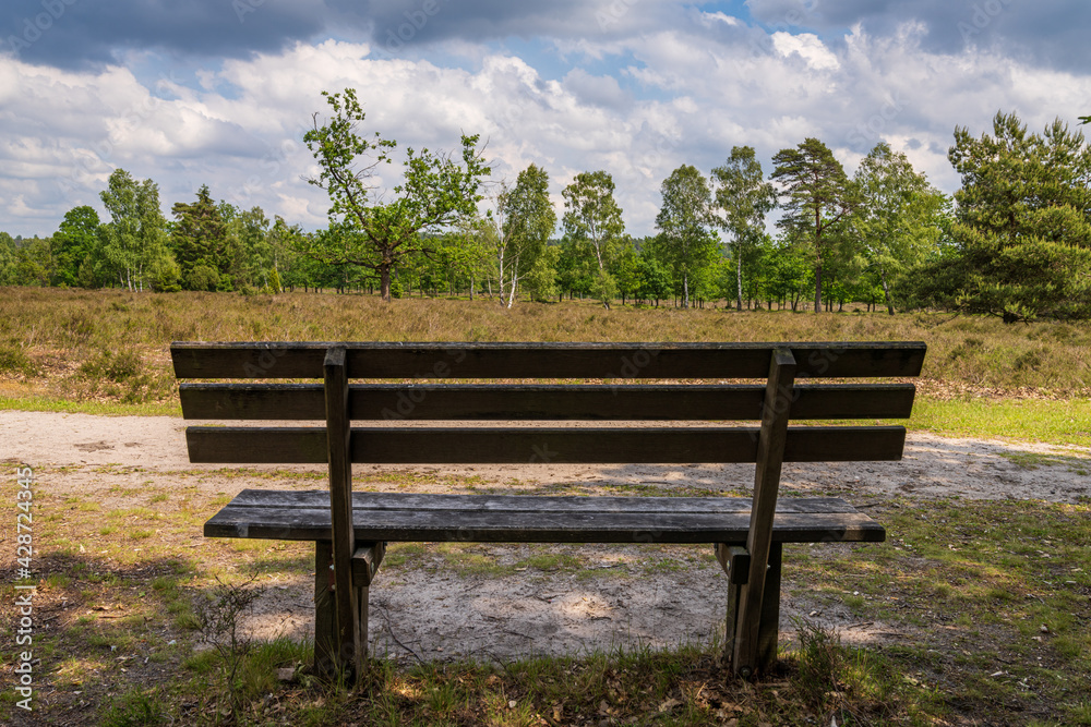 A bench with a view at the landscape of the Lueneburg Heath near Niederhaverbeck, Lower Saxony, Germany A bench with a view at the landscape of the Lueneburg Heath near Niederhaverbeck, Lower Saxony, Germany