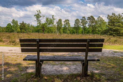 A bench with a view at the landscape of the Lueneburg Heath near Niederhaverbeck, Lower Saxony, Germany