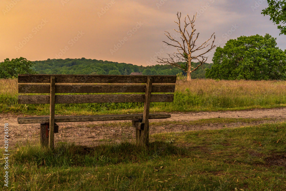 A bench with a view at the evening landscape of the Lueneburg Heath near Oberhaverbeck, Lower Saxony, Germany