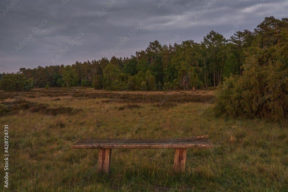 A bench with a view at the evening landscape of the Lueneburg Heath near Oberhaverbeck, Lower Saxony, Germany