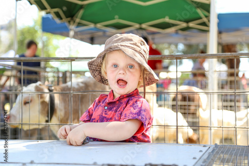 Excited little boy at county fair looking at farm animals in competition