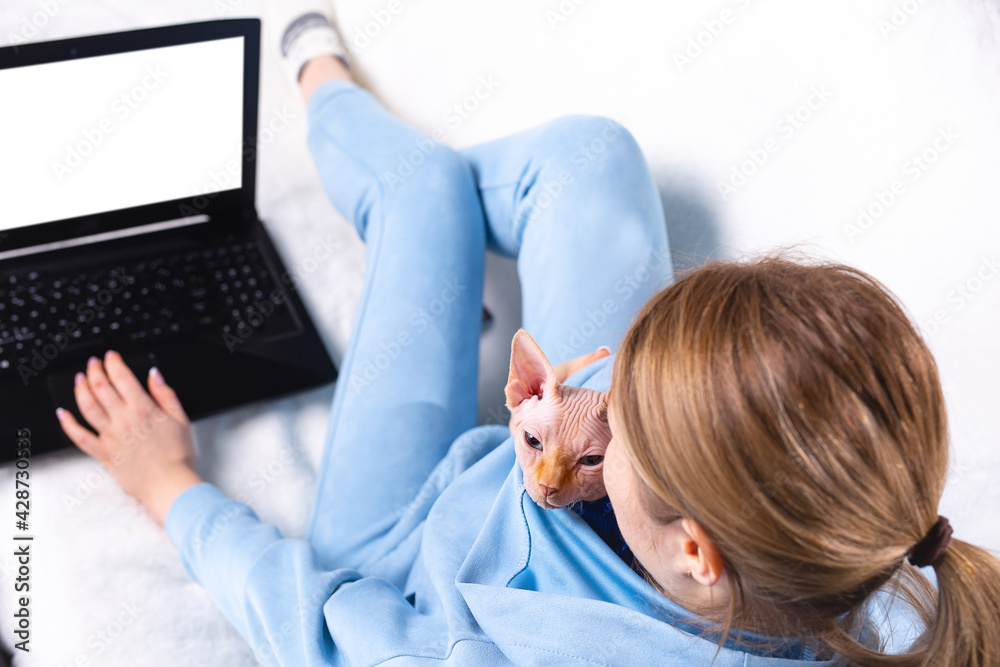 Caucasian blonde teen girl student relax sit on sofa with sphynx cat working laptop pc looking at mock up white computer screen online learning, elearning, watching movie. Over shoulder closeup view Caucasian blonde teen girl student relax sit on sofa with sphynx cat working laptop pc looking at mock up white computer screen online learning, elearning, watching movie. Over shoulder closeup view