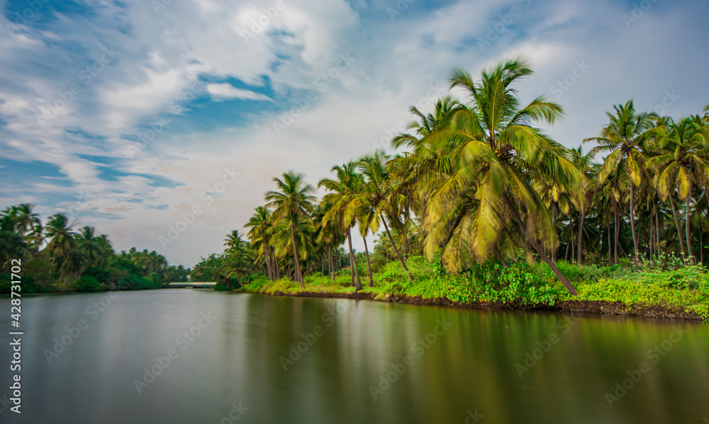 tropical island with trees tropical island with trees