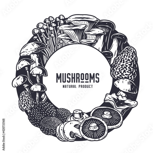 Mushroom picking of morel. Vegetarian fungus boletus or cremini collection for food. Organic nature mushrooms or fungi porcini for healthy nutrition