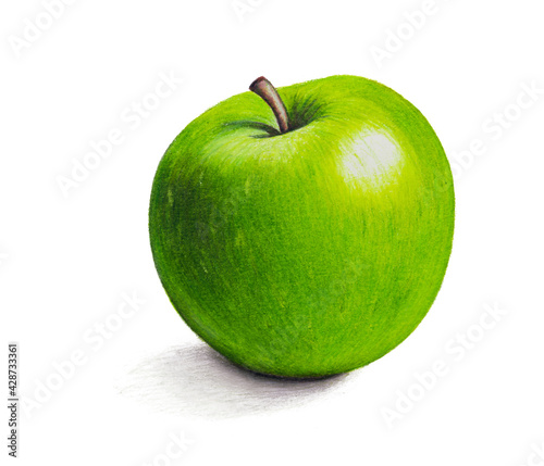 ripe picturesque green apple - drawing with colored pencils hand painted illustration. isolated on white background