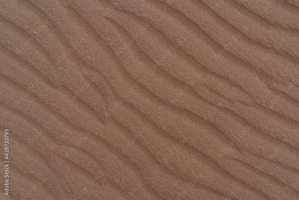 Sand Texture. Background from fine sand Sand Texture. Background from fine sand