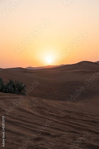 Landscape of desert dunes at sunset © Aleksandr
