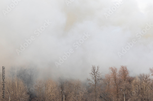 Smoke from a fire in a forest. Lighting poles along the road. © Yura Tura