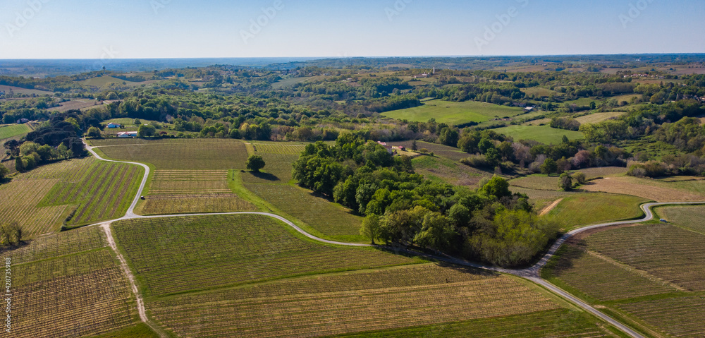 Aerial view of vineyard in spring, Bordeaux Vineyard, Gironde, France, High quality photo