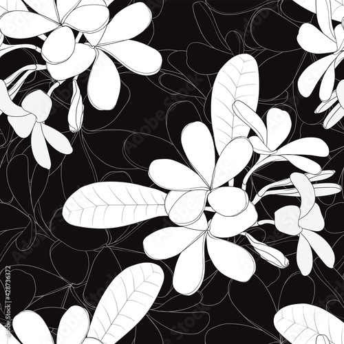 Seamless pattern floral with Frangipani flowers abstract background.Vector illustration hand drawn line art.fabric textile print design