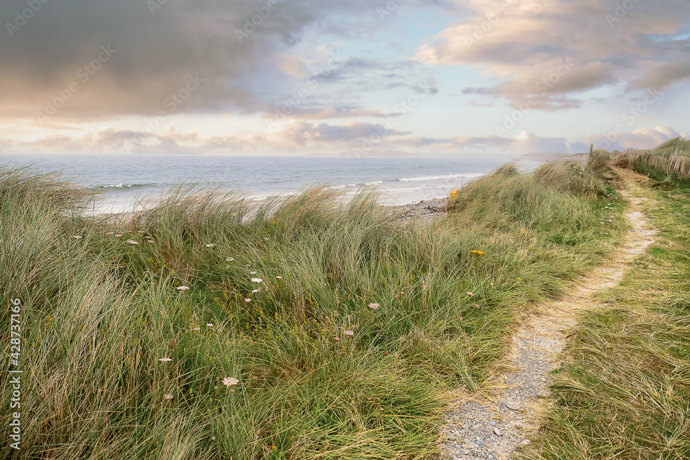 Tall dune grass by the Atlantic ocean. Bertra beach, county Mayo, Ireland. Irish landscape. Nobody. Beautiful sky over water. Small walking path.