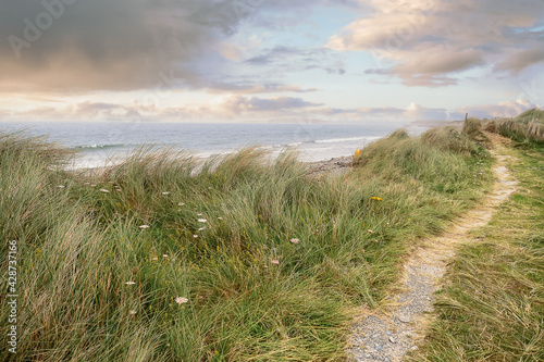 Tall dune grass by the Atlantic ocean. Bertra beach  county Mayo  Ireland. Irish landscape. Nobody. Beautiful sky over water. Small walking path.