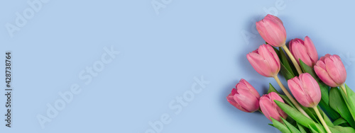 Fototapeta Naklejka Na Ścianę i Meble -  Pink tulips flowers on blue background. Card for Mothers day, 8 March, Happy Easter, Valentines Day, Birthday. Waiting for spring. Greeting card. Flat lay, top view, Long wide banner. Copy space