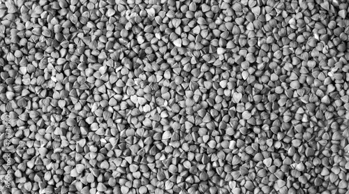 Background of dry buckwheat. The texture of the buckwheat