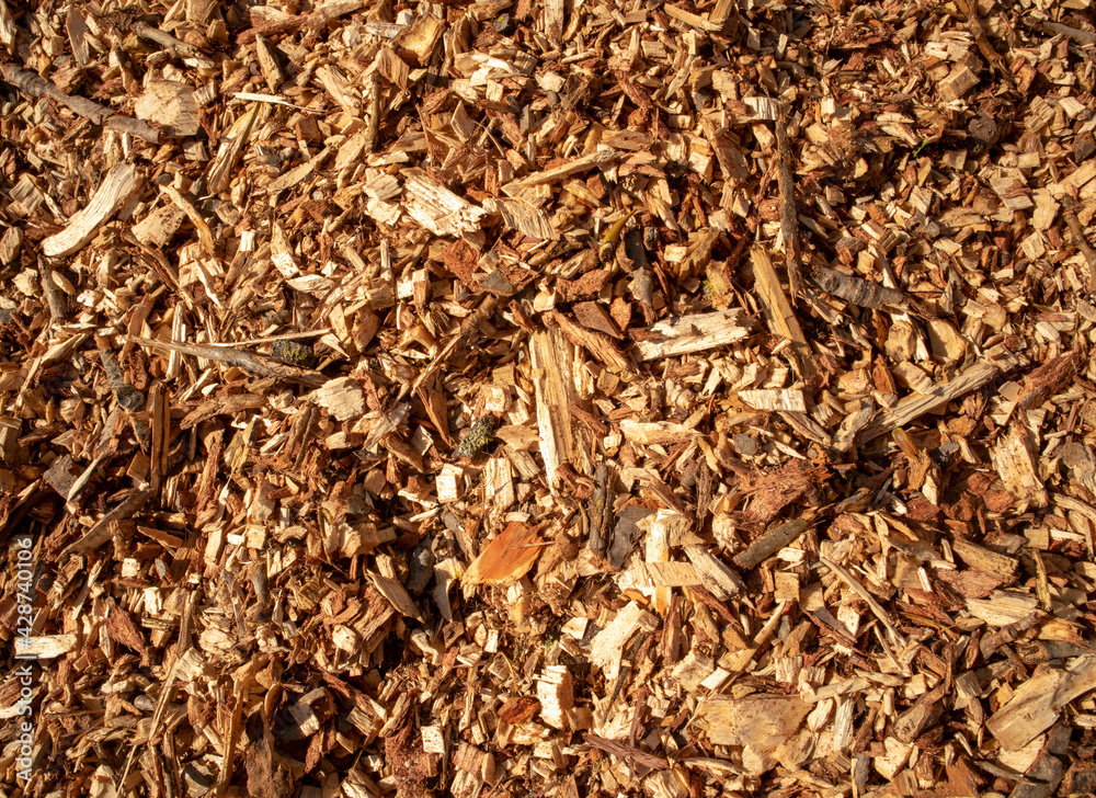 Wood sliver cut piled as backround Wood sliver cut piled as backround