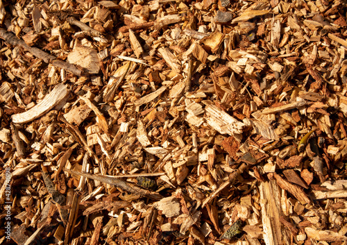 Canvas Print Wood sliver cut piled as backround