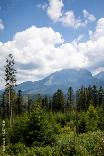 A view of the Tatra mountains in the summer