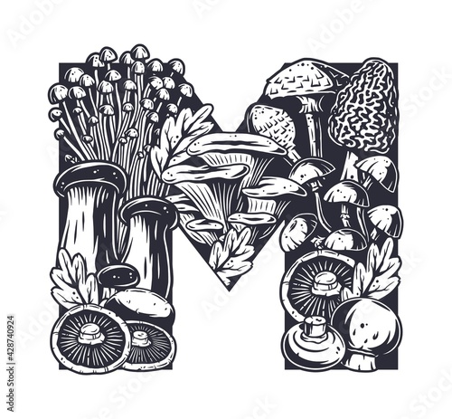 Mushroom picking. Mushrooms, fungus or fungi set