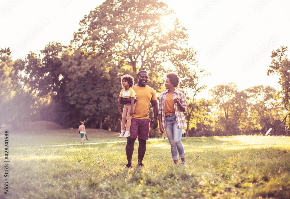 African American family having fun in the park. African American family having fun in the park.