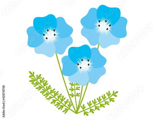 青い花のベクターイラスト　ネモフィラ　背景