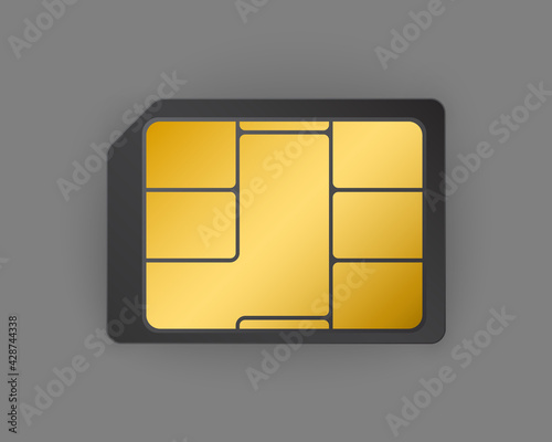 vector real sim card with gold chip