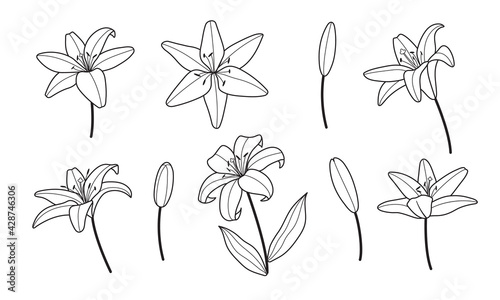 Lily flowers logo line minimal style. Design for greeting card, wedding invitation, tattoo. Feminine icon for nail and hair and spa salon.
