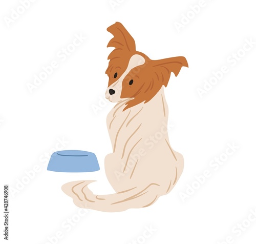 Papillon dog with hairy butterfly-like ears. Continental toy spaniel sitting near feeder and asking for food. Purebred doggy. Colored flat vector illustration isolated on white background