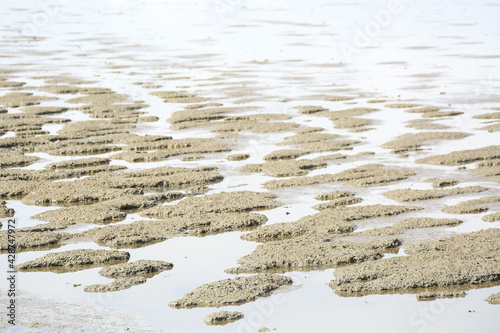 waddensea strukture photo