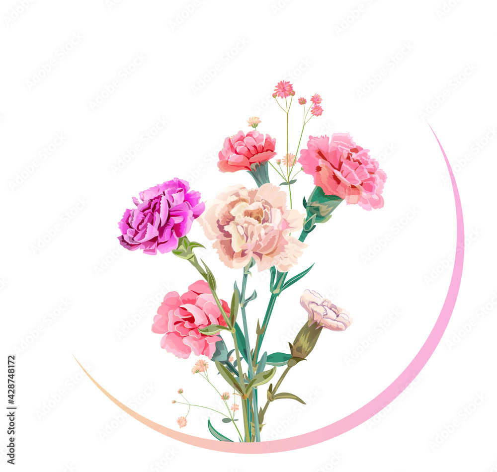 Round Mother's Day, Victory Day card with carnation: red, pink, flowers, twigs gypsophile, white background. Templates for design, vintage botanical illustration in watercolor style, vector Round Mother's Day, Victory Day card with carnation: red, pink, flowers, twigs gypsophile, white background. Templates for design, vintage botanical illustration in watercolor style, vector
