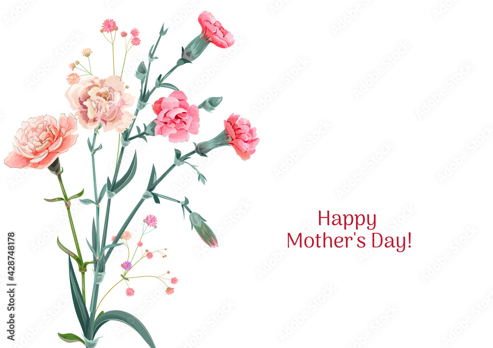 Horizontal Mother's Day, Victory Day card with carnation: red, pink, flowers, twigs gypsophile, white background. Templates for design, vintage botanical illustration in watercolor style, vector