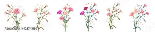 Panoramic view with carnation. Set red, pink, white flowers, green leaves on white background, collection for Mother's Day, Victory Day, digital draw, vintage illustration, vector, watercolor style