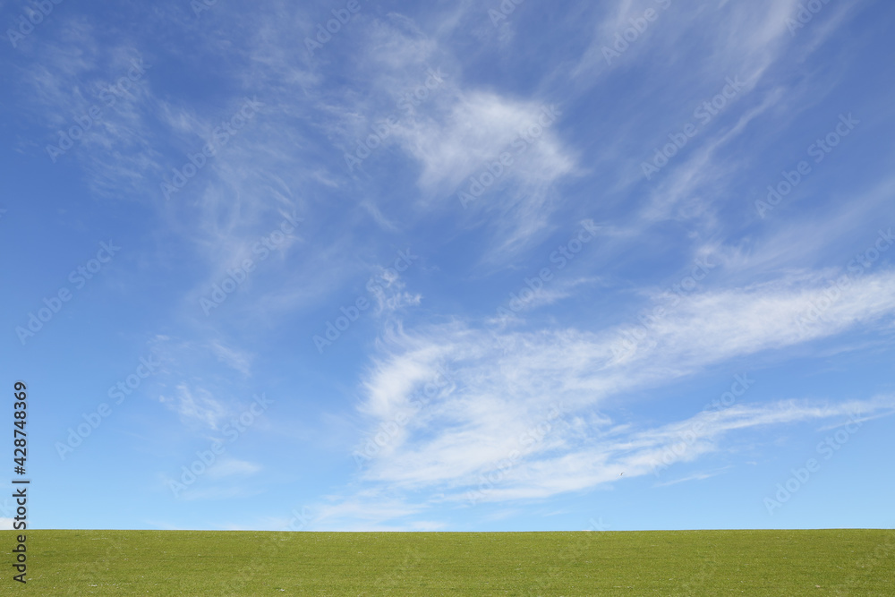 Fototapeta premium sky and gras