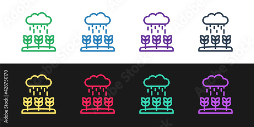 Set line Plant sprouts grow in the rain icon isolated on black and white background. Seedling concept. Vector