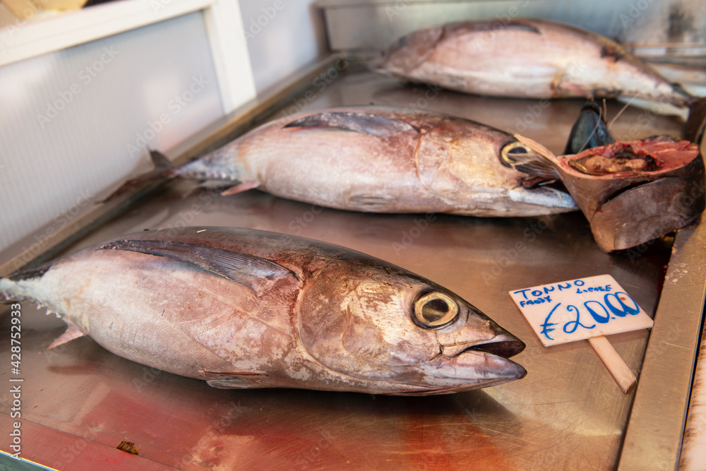 Fresh fish solds on seafood market in Italy. Tuna Fresh fish solds on seafood market in Italy. Tuna