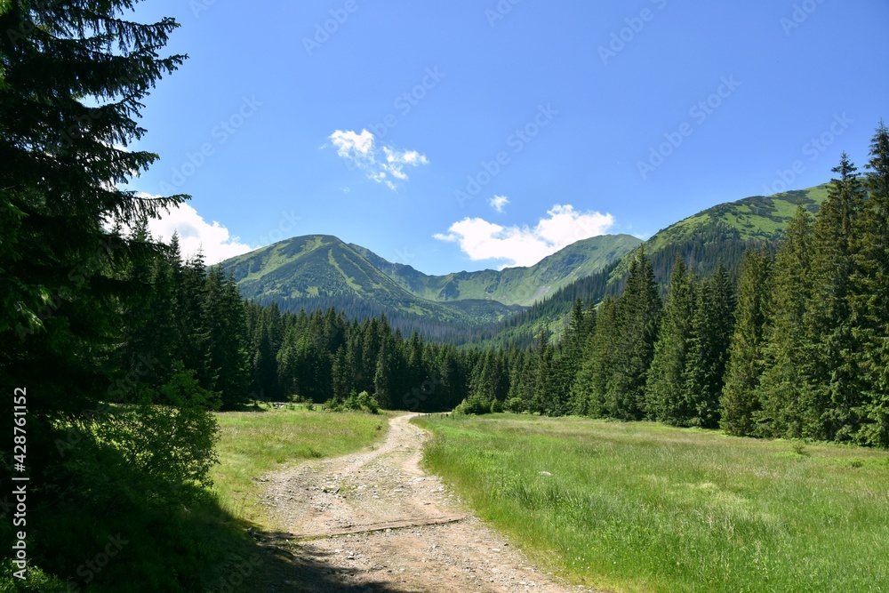 Szlak Papieski, Tatry Zachodnie, TPN, góry, lato