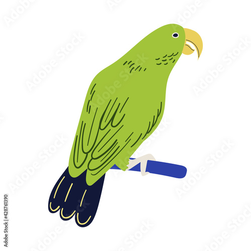 Vector cartoon tropical illustration with amazon parrot.