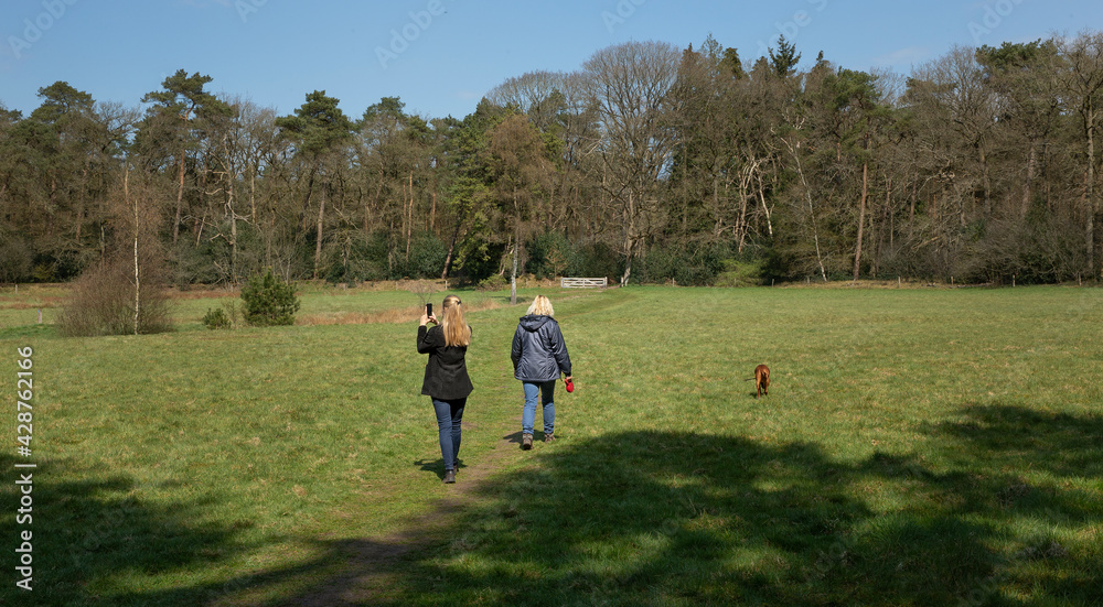 Brandeveen Uffelte Drenthe Netherlands. Walking the dog. Brandeveen Uffelte Drenthe Netherlands. Walking the dog.