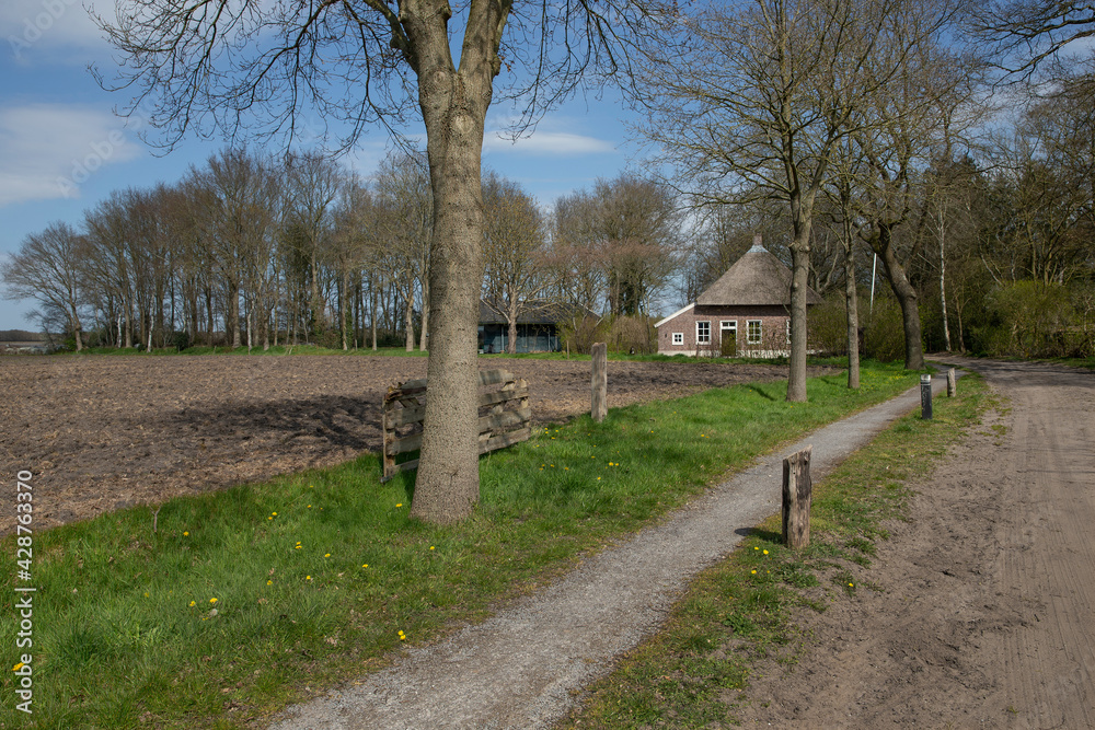 Old traditional farmhouses at dirtroad in the village of Uffelte Drenthe Netherlands. Old traditional farmhouses at dirtroad in the village of Uffelte Drenthe Netherlands.
