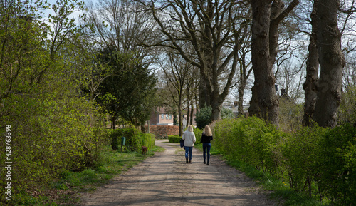 Uffelte Drenthe Netherlands. Walking the dog. Countryside. Village.
