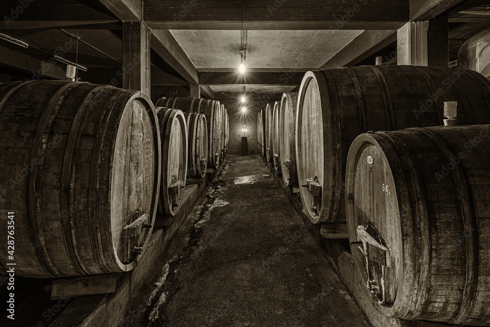 Wine cellar in Dalsheim Germany