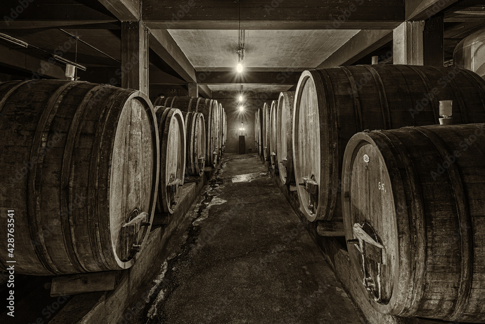 Wine cellar in Dalsheim Germany Wine cellar in Dalsheim Germany