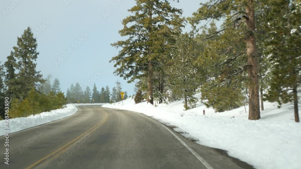 Snow in wintry forest, driving auto, road trip in winter Utah USA. Coniferous pine trees, view from car thru windshield. Christmas vacations, december journey to Bryce Canyon. Eco tourism to woods. Snow in wintry forest, driving auto, road trip in winter Utah USA. Coniferous pine trees, view from car thru windshield. Christmas vacations, december journey to Bryce Canyon. Eco tourism to woods.