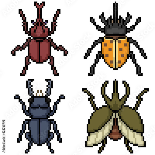 pixel art beetle top view