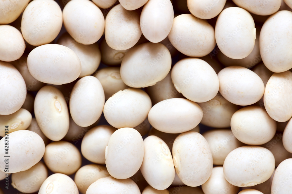 White bean butter bean lima pile vegetable texture background macro closeup. Concept of healthy eating protein diet and vegetarianism. White bean butter bean lima pile vegetable texture background macro closeup. Concept of healthy eating protein diet and vegetarianism.